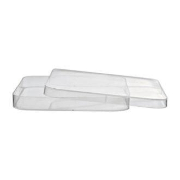 Đĩa petri vuông Polystyrene 120×120 mm