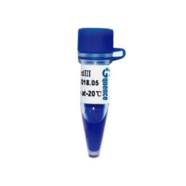 Thang DNA Lambda cắt bằng enzyme HindIII
