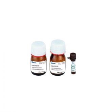 Bộ kit thử nghiệm tăng sinh tế bào bằng phương pháp XTT