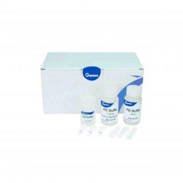 Bộ kit tinh sạch DNA từ gel agarose dNEAT